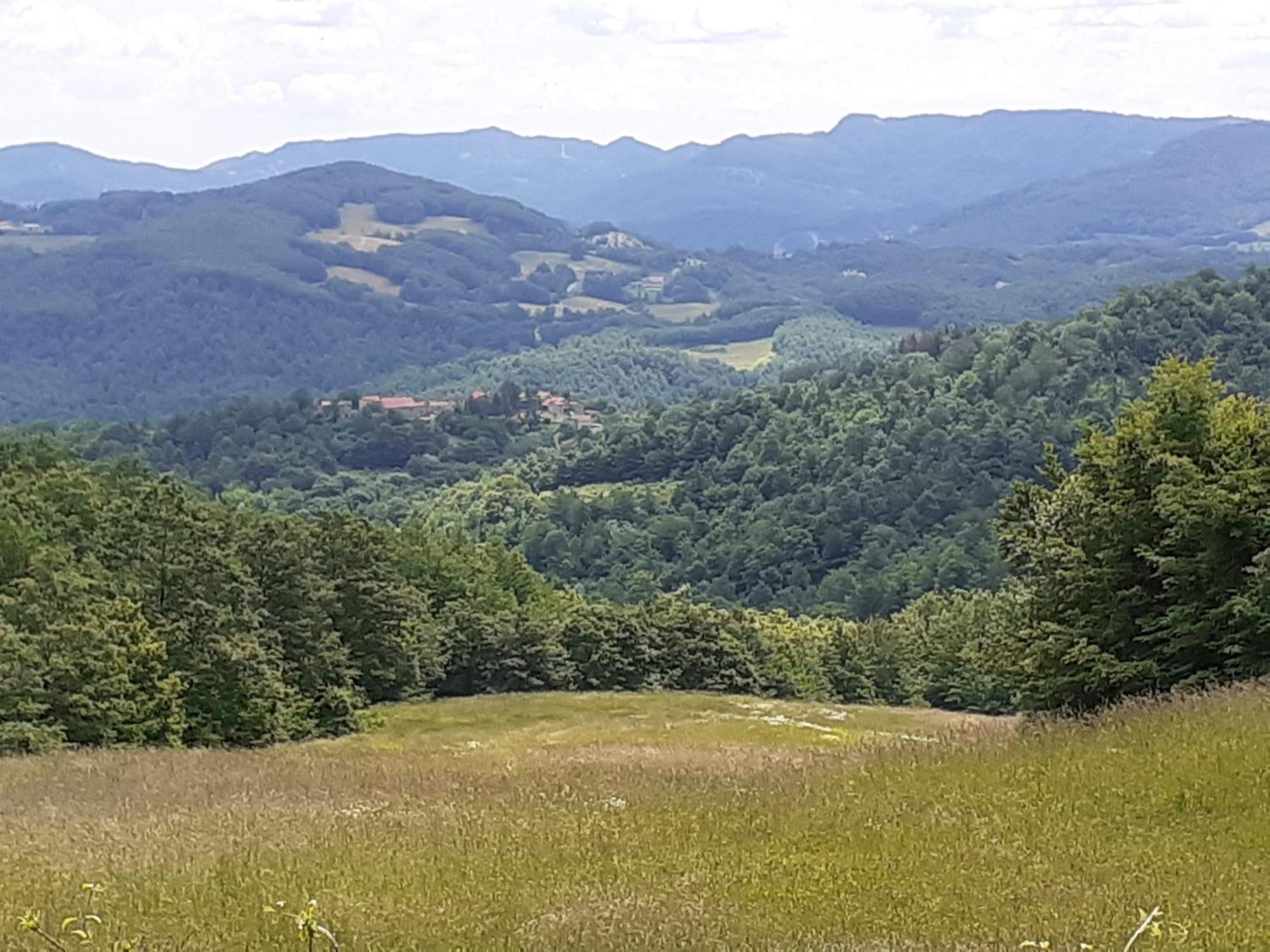 Fattoria Di Arsicci Villa Caprile  Dış mekan fotoğraf